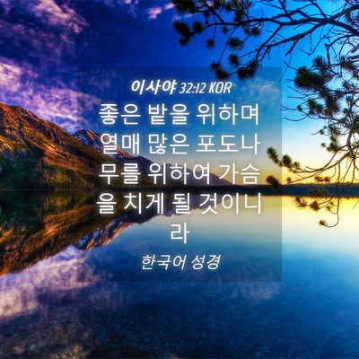 Picture 04 - 이사야 32:12 KOR - 좋은 밭을 위하며 열매 많은 - Bible Verse Picture