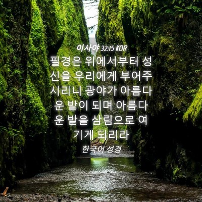 Picture 04 - 이사야 32:15 KOR - 필경은 위에서부터 성신을 우리에게 - Bible Verse Picture