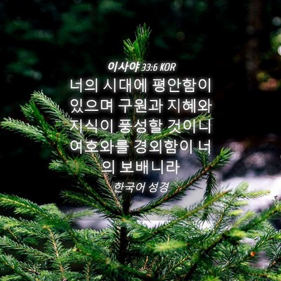 Picture 04 - 이사야 33:6 KOR - 너의 시대에 평안함이 있으며 구원과 - Bible Verse Picture