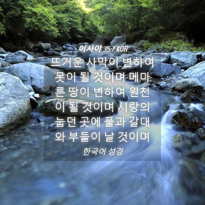 Picture 04 - 이사야 35:7 KOR - 뜨거운 사막이 변하여 못이 될 - Bible Verse Picture