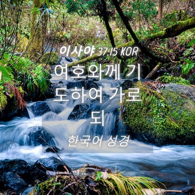 Picture 04 - 이사야 37:15 KOR - 여호와께 기도하여 - Bible Verse Picture