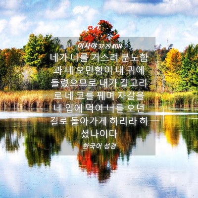 Picture 04 - 이사야 37:29 KOR - 네가 나를 거스려 분노함과 네 - Bible Verse Picture