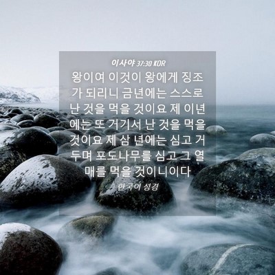 Picture 04 - 이사야 37:30 KOR - 왕이여 이것이 왕에게 징조가 되리니 - Bible Verse Picture