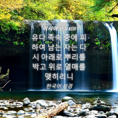 Picture 04 - 이사야 37:31 KOR - 유다 족속 중에 피하여 남는 자는 - Bible Verse Picture