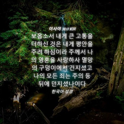 Picture 04 - 이사야 38:17 KOR - 보옵소서 내게 큰 고통을 더하신 - Bible Verse Picture