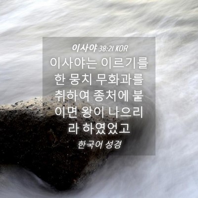 Picture 04 - 이사야 38:21 KOR - 이사야는 이르기를 한 뭉치 무화과를 - Bible Verse Picture