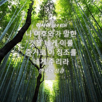 Picture 04 - 이사야 38:7 KOR - 나 여호와가 말한 것을 네게 이룰 - Bible Verse Picture