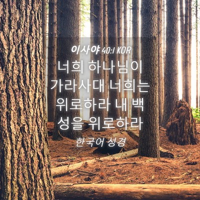 Picture 04 - 이사야 40:1 KOR - 너희 하나님이 가라사대 너희는 - Bible Verse Picture