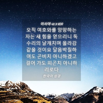 Picture 04 - 이사야 40:31 KOR - 오직 여호와를 앙망하는 자는 새 - Bible Verse Picture