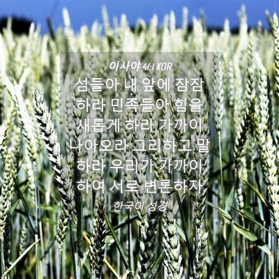 Picture 04 - 이사야 41:1 KOR - 섬들아 내 앞에 잠잠하라 민족들아 - Bible Verse Picture
