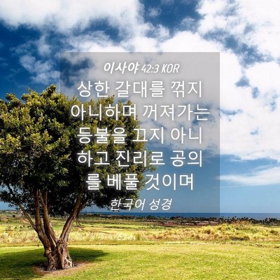 Picture 04 - 이사야 42:3 KOR - 상한 갈대를 꺾지 아니하며 꺼져가는 - Bible Verse Picture