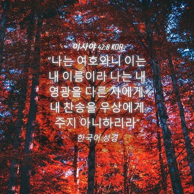 Picture 04 - 이사야 42:8 KOR - 