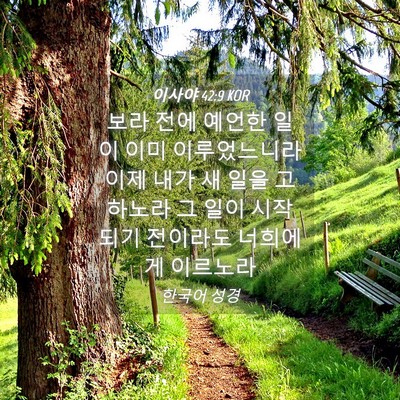 Picture 04 - 이사야 42:9 KOR - 보라 전에 예언한 일이 이미 - Bible Verse Picture