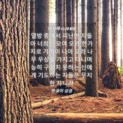 Picture 04 - 이사야 45:20 KOR - 열방 중에서 피난한 자들아 너희는 - Bible Verse Picture