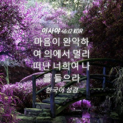 Picture 04 - 이사야 46:12 KOR - 마음이 완악하여 의에서 멀리 떠난 - Bible Verse Picture