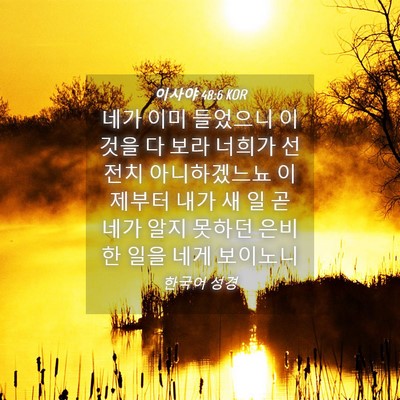 Picture 04 - 이사야 48:6 KOR - 네가 이미 들었으니 이것을 다 보라 - Bible Verse Picture