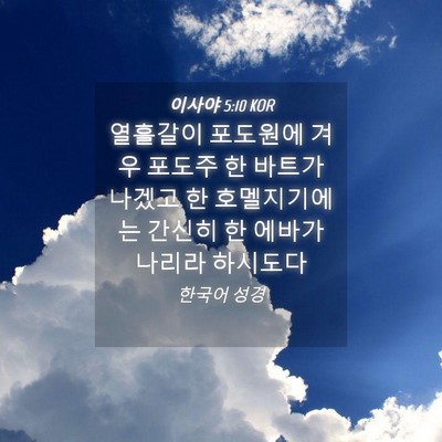 Picture 04 - 이사야 5:10 KOR - 열흘갈이 포도원에 겨우 포도주 한 - Bible Verse Picture