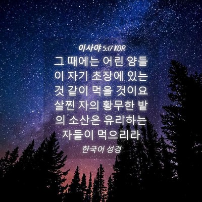 Picture 04 - 이사야 5:17 KOR - 그 때에는 어린 양들이 자기 초장에 - Bible Verse Picture