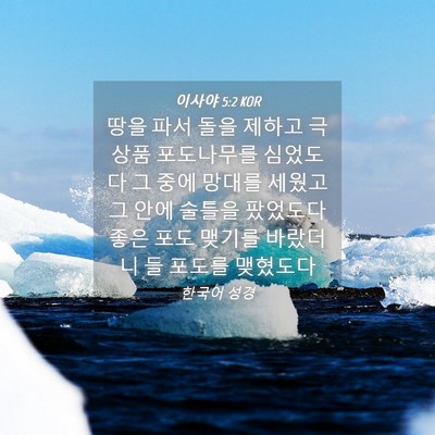 Picture 04 - 이사야 5:2 KOR - 땅을 파서 돌을 제하고 극상품 - Bible Verse Picture