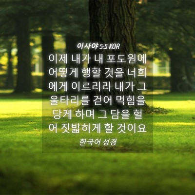 Picture 04 - 이사야 5:5 KOR - 이제 내가 내 포도원에 어떻게 행할 - Bible Verse Picture