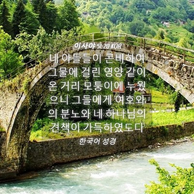 Picture 04 - 이사야 51:20 KOR - 네 아들들이 곤비하여 그물에 걸린 - Bible Verse Picture