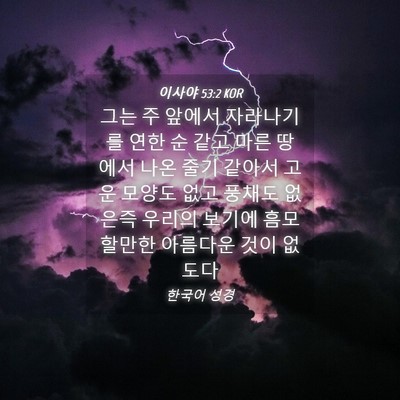 Picture 04 - 이사야 53:2 KOR - 그는 주 앞에서 자라나기를 연한 순 - Bible Verse Picture