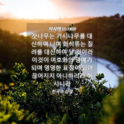 Picture 04 - 이사야 55:13 KOR - 잣나무는 가시나무를 대신하여 나며 - Bible Verse Picture