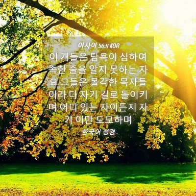 Picture 04 - 이사야 56:11 KOR - 이 개들은 탐욕이 심하여 족한 줄을 - Bible Verse Picture