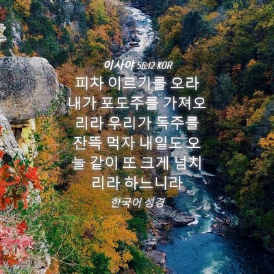 Picture 04 - 이사야 56:12 KOR - 피차 이르기를 오라 내가 포도주를 - Bible Verse Picture