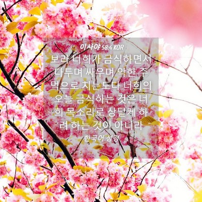 Picture 04 - 이사야 58:4 KOR - 보라 너희가 금식하면서 다투며 - Bible Verse Picture