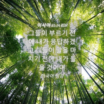 Picture 04 - 이사야 65:24 KOR - 그들이 부르기 전에 내가 응답하겠고 - Bible Verse Picture