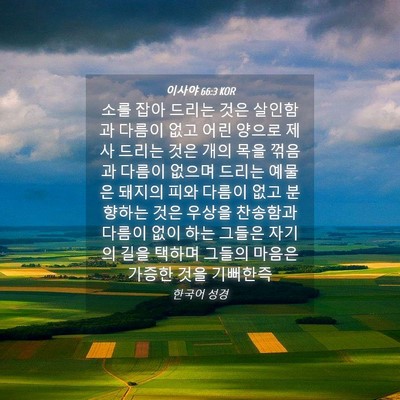 Picture 04 - 이사야 66:3 KOR - 소를 잡아 드리는 것은 살인함과 - Bible Verse Picture
