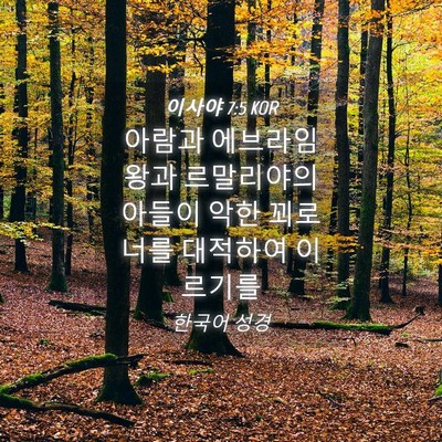 Picture 04 - 이사야 7:5 KOR - 아람과 에브라임 왕과 르말리야의 - Bible Verse Picture