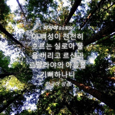 Picture 04 - 이사야 8:6 KOR - 이 백성이 천천히 흐르는 실로아 - Bible Verse Picture