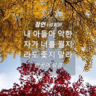 Picture 04 - 잠언 1:10 KOR - 내 아들아 악한 자가 너를 꾈지라도 - Bible Verse Picture