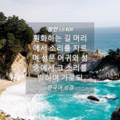 Picture 04 - 잠언 1:21 KOR - 훤화하는 길 머리에서 소리를 지르며 - Bible Verse Picture