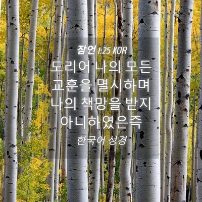 Picture 04 - 잠언 1:25 KOR - 도리어 나의 모든 교훈을 멸시하며 - Bible Verse Picture