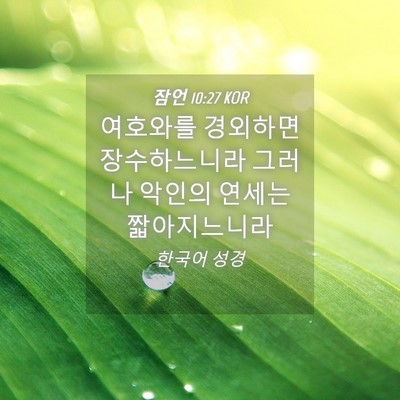 Picture 04 - 잠언 10:27 KOR - 여호와를 경외하면 장수하느니라 - Bible Verse Picture