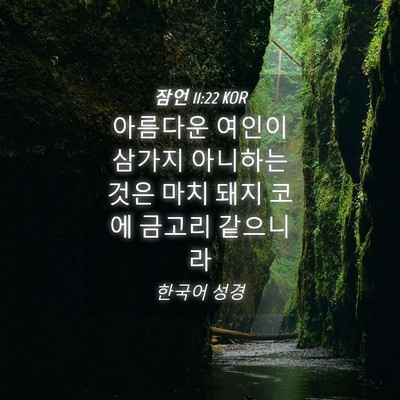 Picture 04 - 잠언 11:22 KOR - 아름다운 여인이 삼가지 아니하는 - Bible Verse Picture
