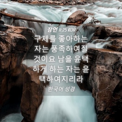Picture 04 - 잠언 11:25 KOR - 구제를 좋아하는 자는 풍족하여질 - Bible Verse Picture