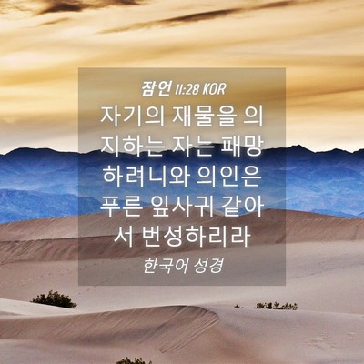 Picture 04 - 잠언 11:28 KOR - 자기의 재물을 의지하는 자는 - Bible Verse Picture
