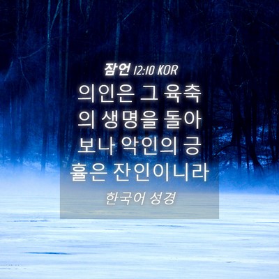 Picture 04 - 잠언 12:10 KOR - 의인은 그 육축의 생명을 돌아보나 - Bible Verse Picture
