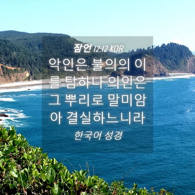 Picture 04 - 잠언 12:12 KOR - 악인은 불의의 이를 탐하나 의인은 - Bible Verse Picture