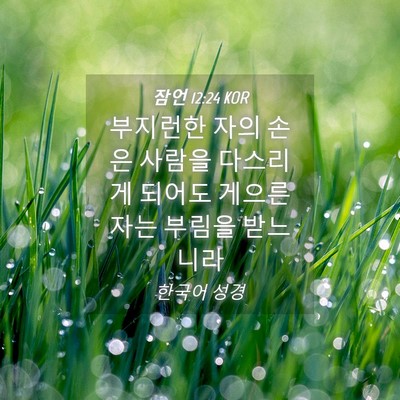 Picture 04 - 잠언 12:24 KOR - 부지런한 자의 손은 사람을 다스리게 - Bible Verse Picture