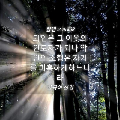 Picture 04 - 잠언 12:26 KOR - 의인은 그 이웃의 인도자가 되나 - Bible Verse Picture