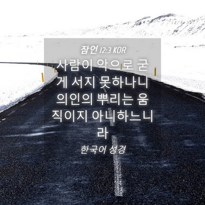 Picture 04 - 잠언 12:3 KOR - 사람이 악으로 굳게 서지 못하나니 - Bible Verse Picture