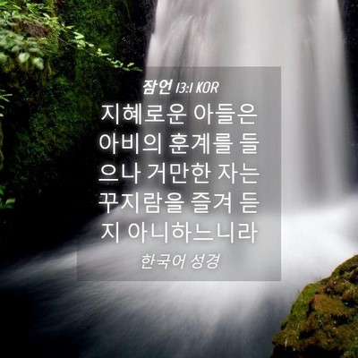 Picture 04 - 잠언 13:1 KOR - 지혜로운 아들은 아비의 훈계를 - Bible Verse Picture