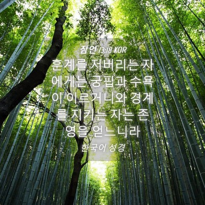 Picture 04 - 잠언 13:18 KOR - 훈계를 저버리는 자에게는 궁핍과 - Bible Verse Picture