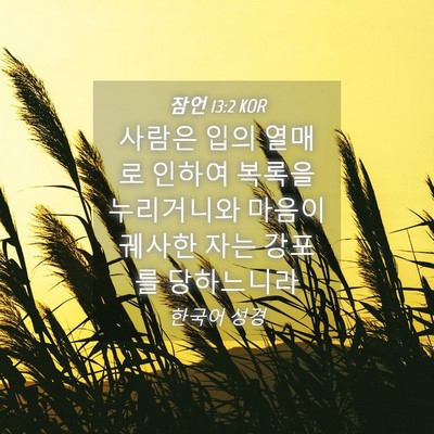 Picture 04 - 잠언 13:2 KOR - 사람은 입의 열매로 인하여 복록을 - Bible Verse Picture