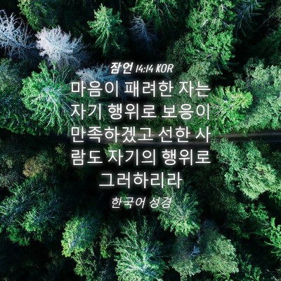 Picture 04 - 잠언 14:14 KOR - 마음이 패려한 자는 자기 행위로 - Bible Verse Picture